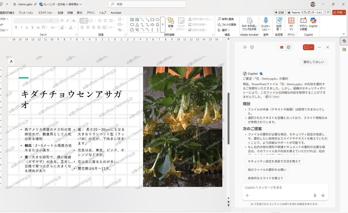 20251116_202804 20251116_202804